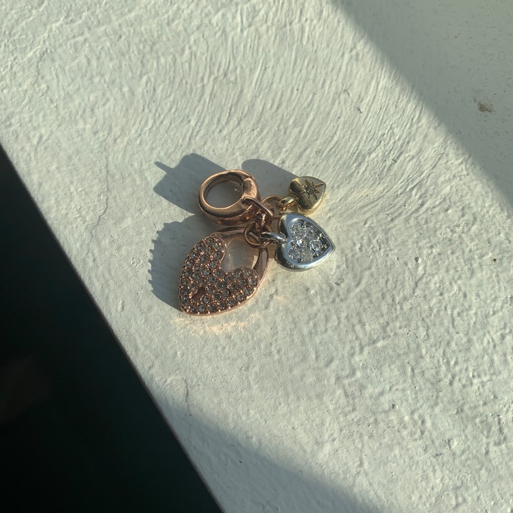 Fossil charm heart